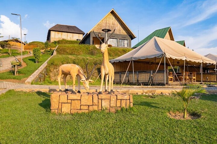 7 Days Rwanda Safari & Nature Experience
