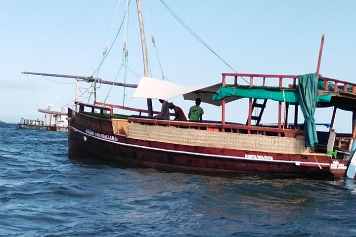 1 Day Wasini Dolphin Tour From Diani Beach