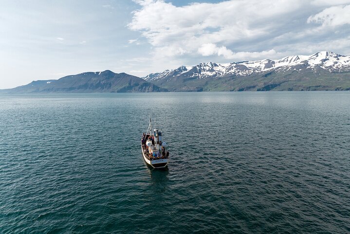 Traditional Whale Watching from Húsavík by Local Family Company