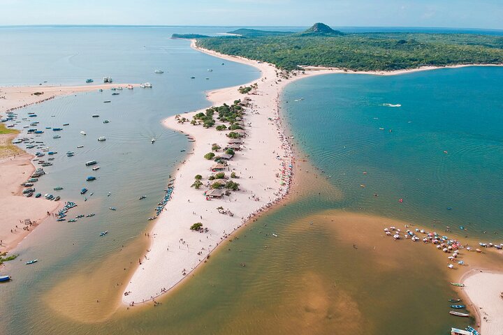 Private Shore Tour: Santarem – Pink Dolphins, History, Wildlife
