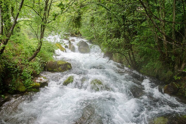 From Ohrid: Kalishta, Struga & Vevchani Day Tour