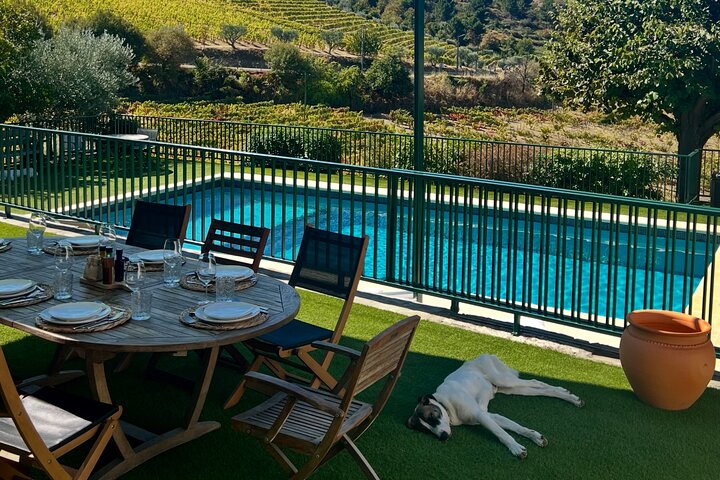 Douro Valley Lunch at Quinta dos Novais with Wine Pairings