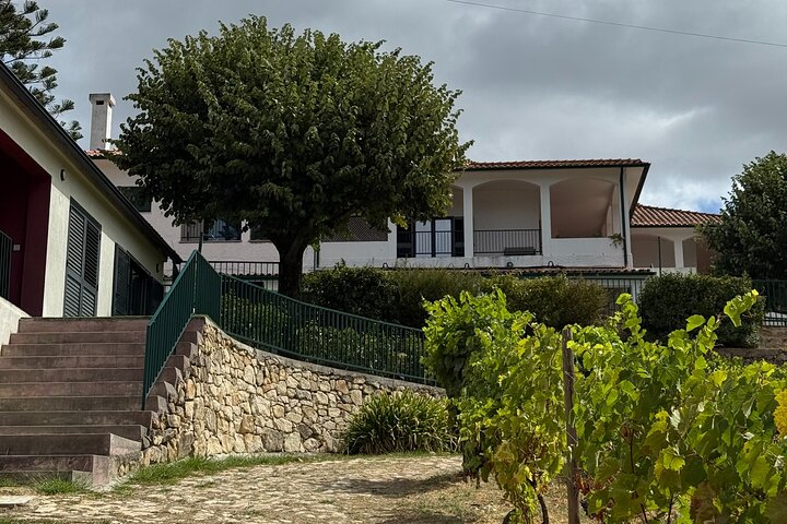 Douro Valley Lunch at Quinta dos Novais with Wine Pairings
