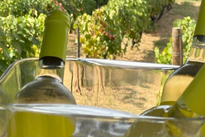 Douro Valley Lunch at Quinta dos Novais with Wine Pairings