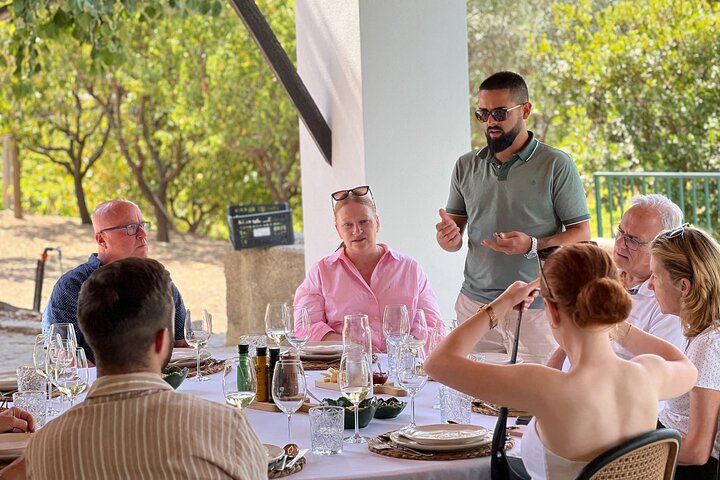 Douro Valley Lunch at Quinta dos Novais with Wine Pairings