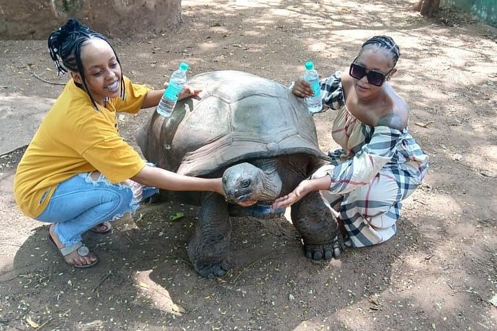 Malindi Explorer: City Tour & Mambrui Sand Dunes Adventure