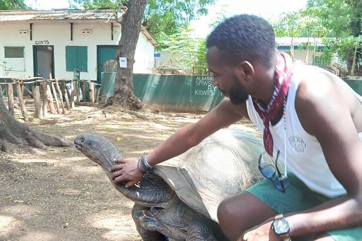 Malindi Explorer: City Tour & Mambrui Sand Dunes Adventure