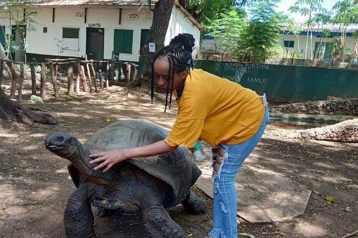 Malindi Explorer: City Tour & Mambrui Sand Dunes Adventure