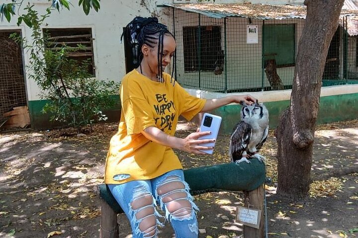 Malindi Explorer: City Tour & Mambrui Sand Dunes Adventure