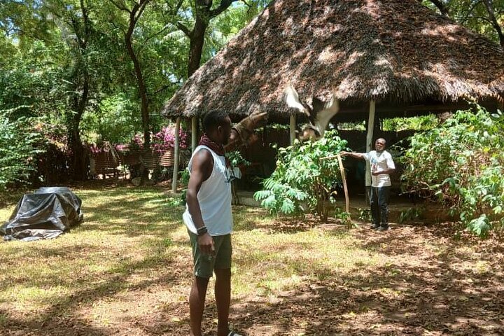 Malindi Explorer: City Tour & Mambrui Sand Dunes Adventure