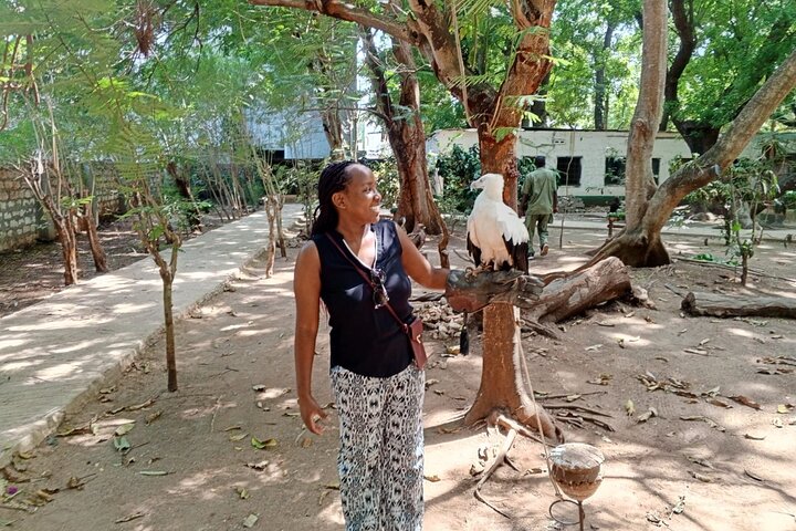 Malindi Explorer: City Tour & Mambrui Sand Dunes Adventure