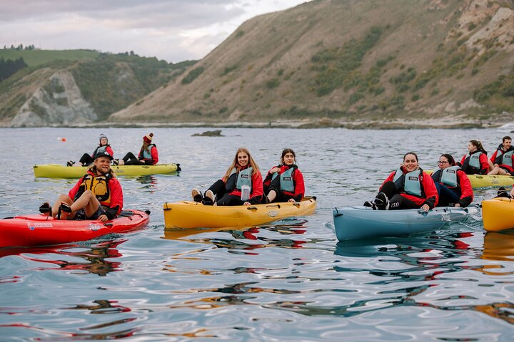 Seal Kayaking Adventure in Kaikoura