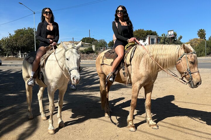 Rosarito/Paintball/Mountain Horses + Transportation