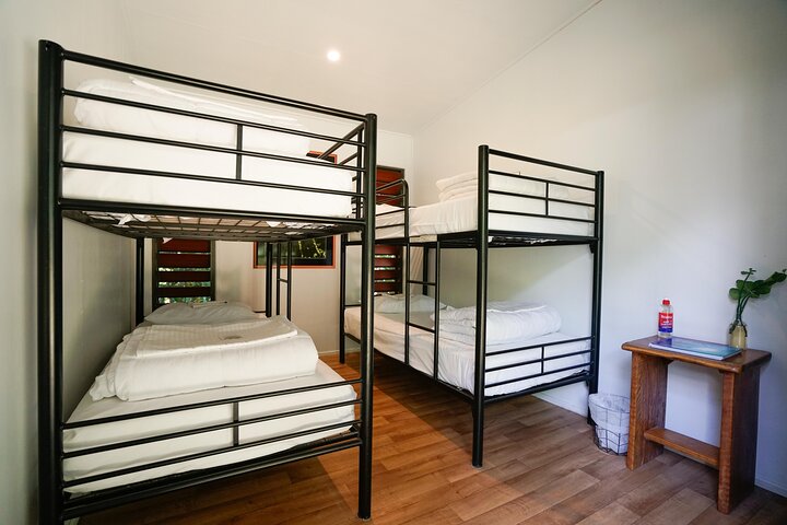 Cairns: Daintree & Cape Tribulation 2-Day Tour with Options