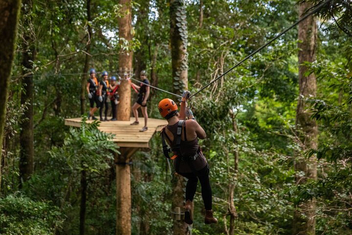 Cairns: Daintree & Cape Tribulation 2-Day Tour with Options