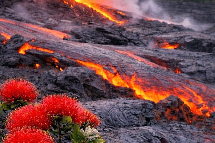 Big Island Scenic Tour: Volcano Hilo Town Waterfall Beach & Lunch
