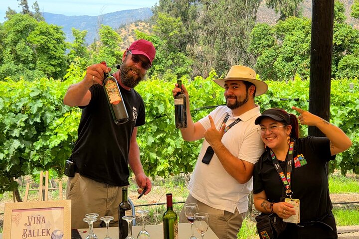 Maipo Valley Wine Tour with 4 vineyards from Santiago.