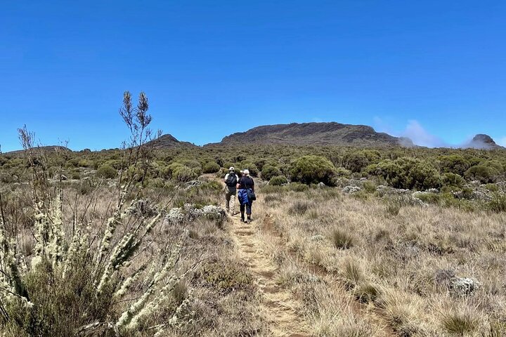 6-Day Kilimanjaro Marangu Route Group Climb by KILITA SAFARIS