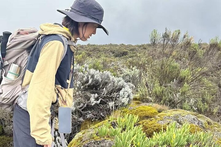 6-Day Kilimanjaro Marangu Route Group Climb by KILITA SAFARIS