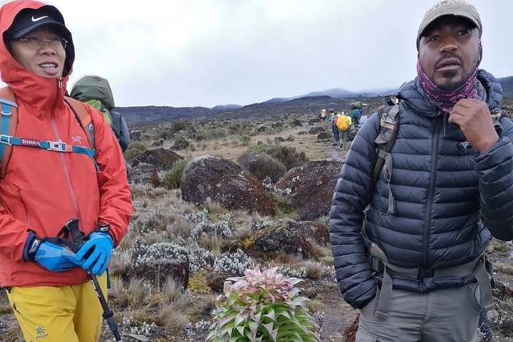 6-Day Kilimanjaro Marangu Route Group Climb by KILITA SAFARIS