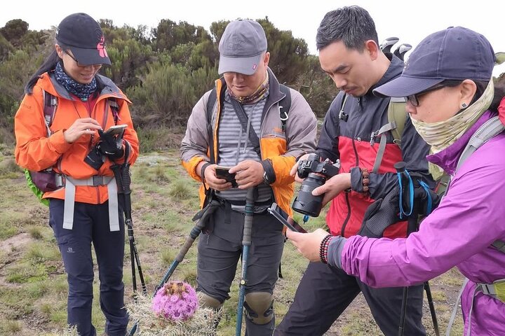 6-Day Kilimanjaro Marangu Route Group Climb by KILITA SAFARIS