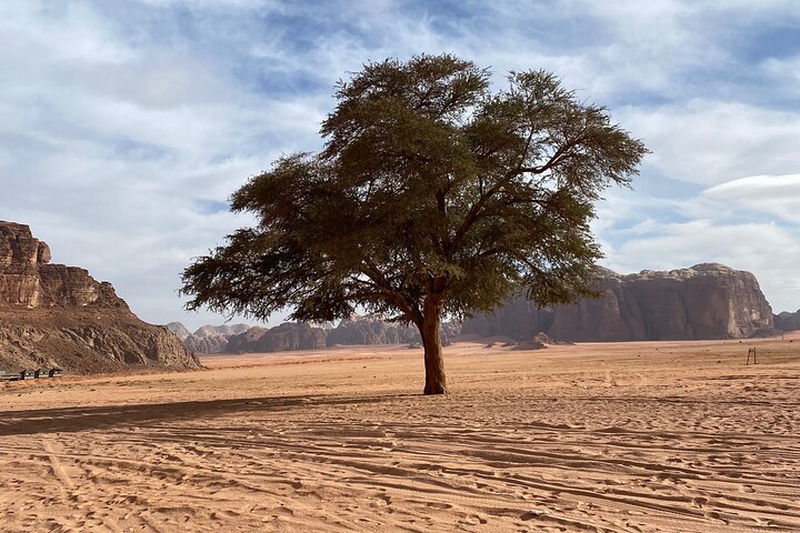 Wadi Rum Jeep Tour & optional night stay