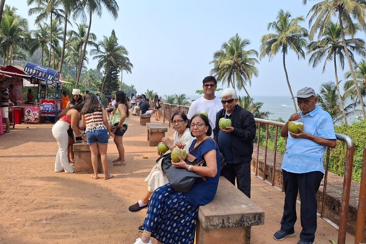 Discover the Treasures of Goa: A Full-Day Shore Excursion Tour