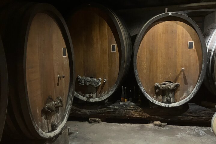 Private Full Day Alsace Castles Villages and Wine Tasting