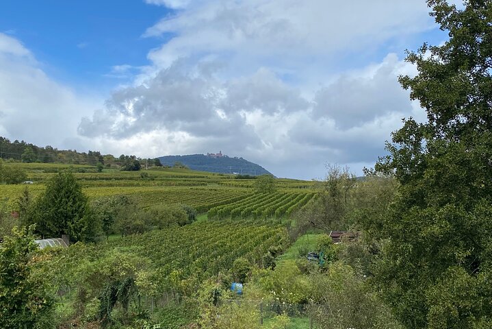 Private Full Day Alsace Castles Villages and Wine Tasting