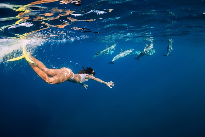 All inclusive cruise-Mykonos Delos&Rhenia beaches(free transport)