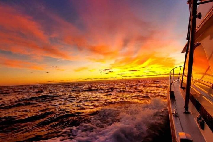 Wild Dolphin Tours and Sunset Cruises in Outer Banks, NC