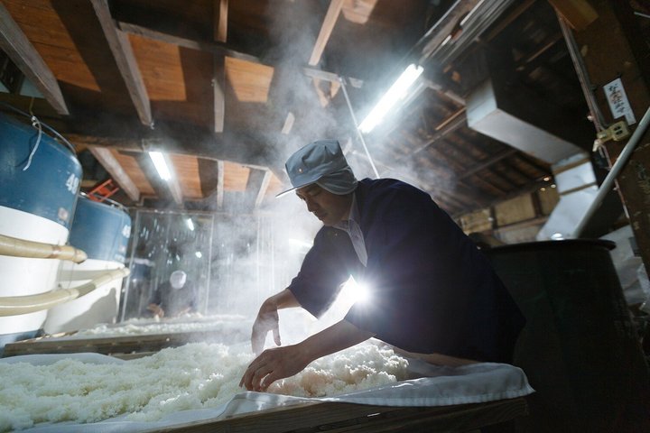 Traditional Sake Brewery Tour with Tasting & Gift[Local Boutique]