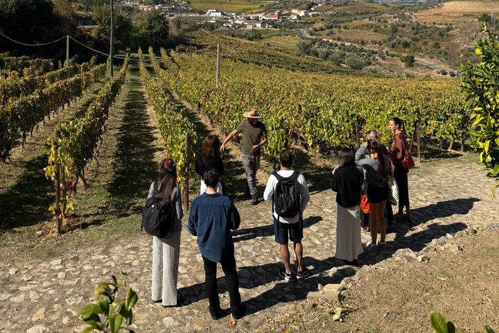 Douro Valley Lunch at Quinta dos Novais with Wine Pairings