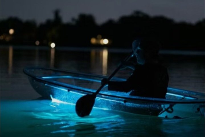 Clear Kayaks on BioBay