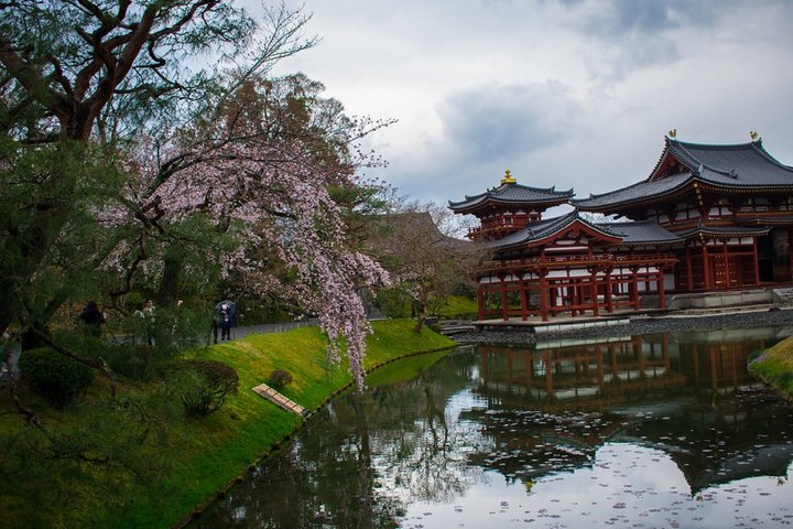 Uji Tea Ceremony and UNESCO Heritage Walking Tour