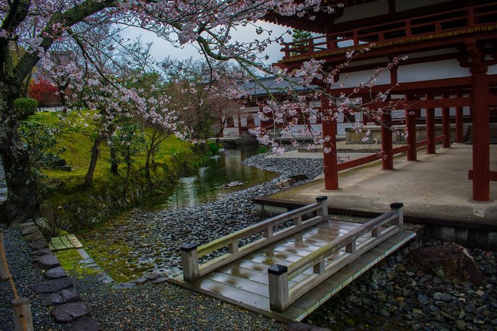 Uji Tea Ceremony and UNESCO Heritage Walking Tour
