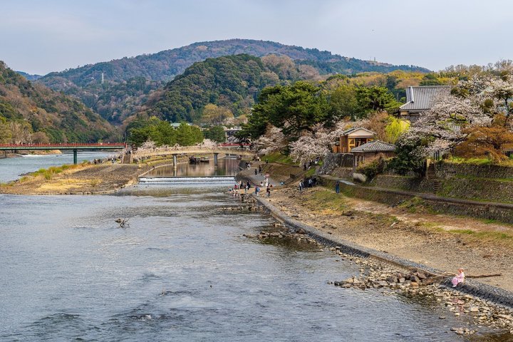 Uji Tea Ceremony and UNESCO Heritage Walking Tour