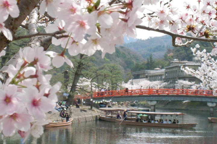 Uji Tea Ceremony and UNESCO Heritage Walking Tour