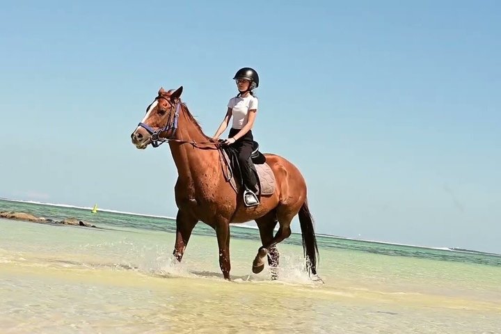 Exclusive 1 Hour Coastal Horse Ride at Bel Ombre Beach