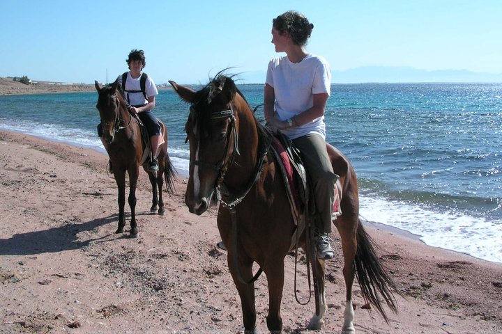 Exclusive 1 Hour Coastal Horse Ride at Bel Ombre Beach
