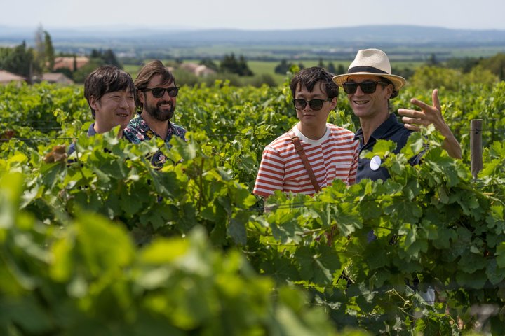 Afternoon Wine Tour to Chateauneuf du Pape from Avignon