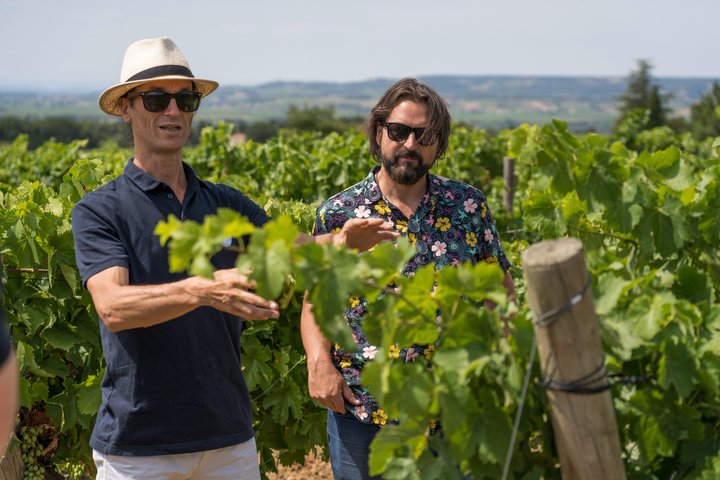 Afternoon Wine Tour to Chateauneuf du Pape from Avignon