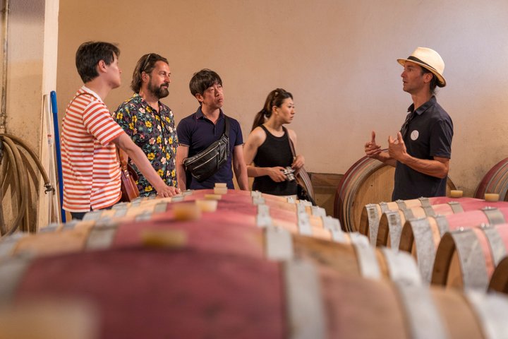 Afternoon Wine Tour to Chateauneuf du Pape from Avignon