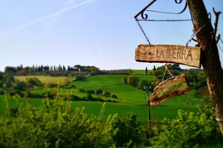 Montepulciano: Pasta & Tiramisu Class in a Local Home by Cesarine