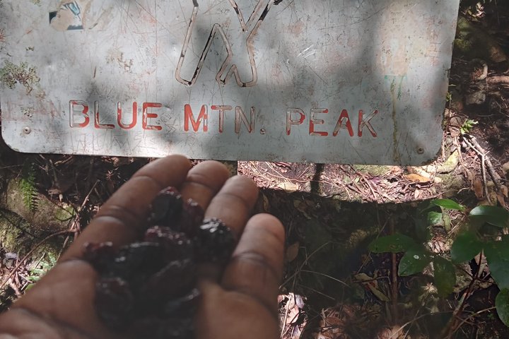 Blue Mountains Peak Hike