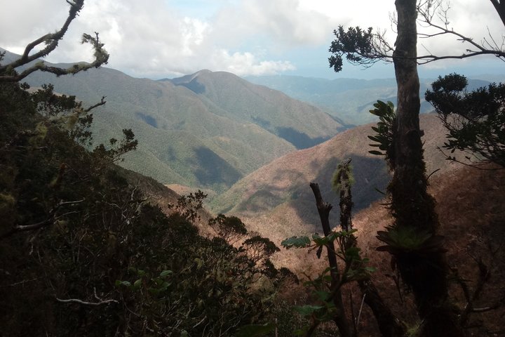 Blue Mountains Peak Hike