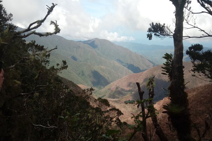 Blue Mountains Peak Hike