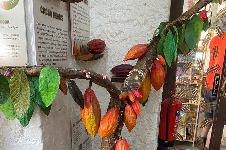 Grenada’s Best: Waterfalls, Chocolate, Rum and Rainforest Tour