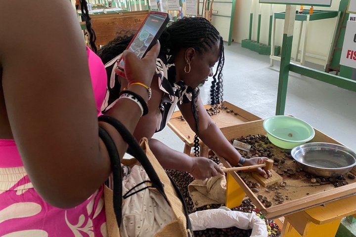 Grenada’s Best: Waterfalls, Chocolate, Rum and Rainforest Tour