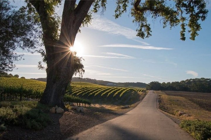 Paso Robles Winery Trolley (Shared)